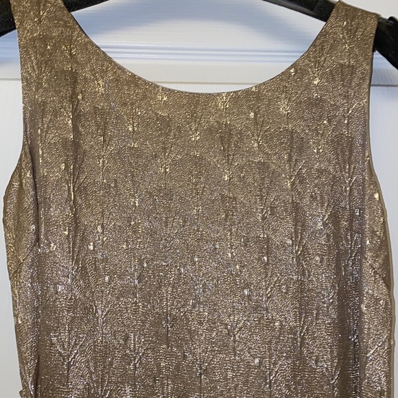 🔥🔥PORTS 1961| Taupe & Metallic Silver Dress -Sz 6 - Picture 8 of 15